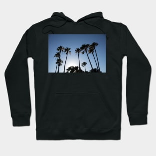 Morning in Paradise Hoodie